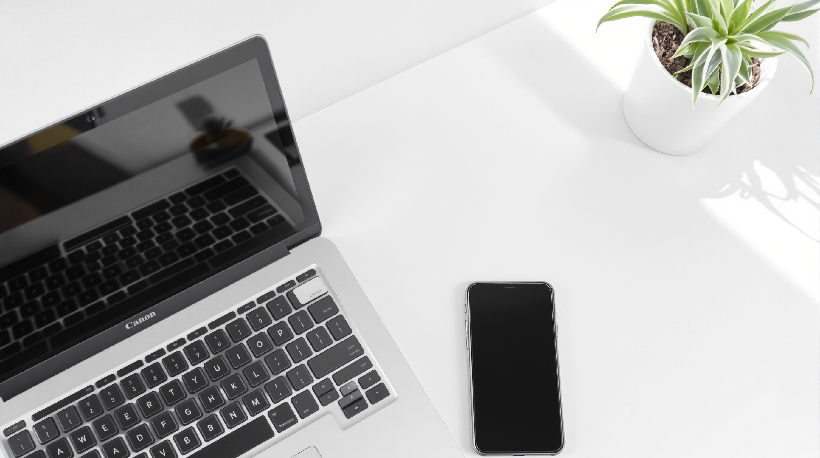 A laptop and a phone side by side on a desk showing synchronized photo galleries