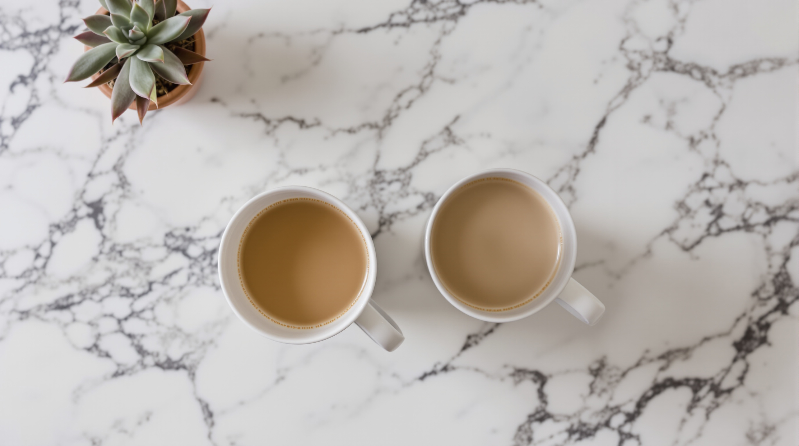 A couple looking at a printed photo album together on a couch, overhead view with soft natural lighting