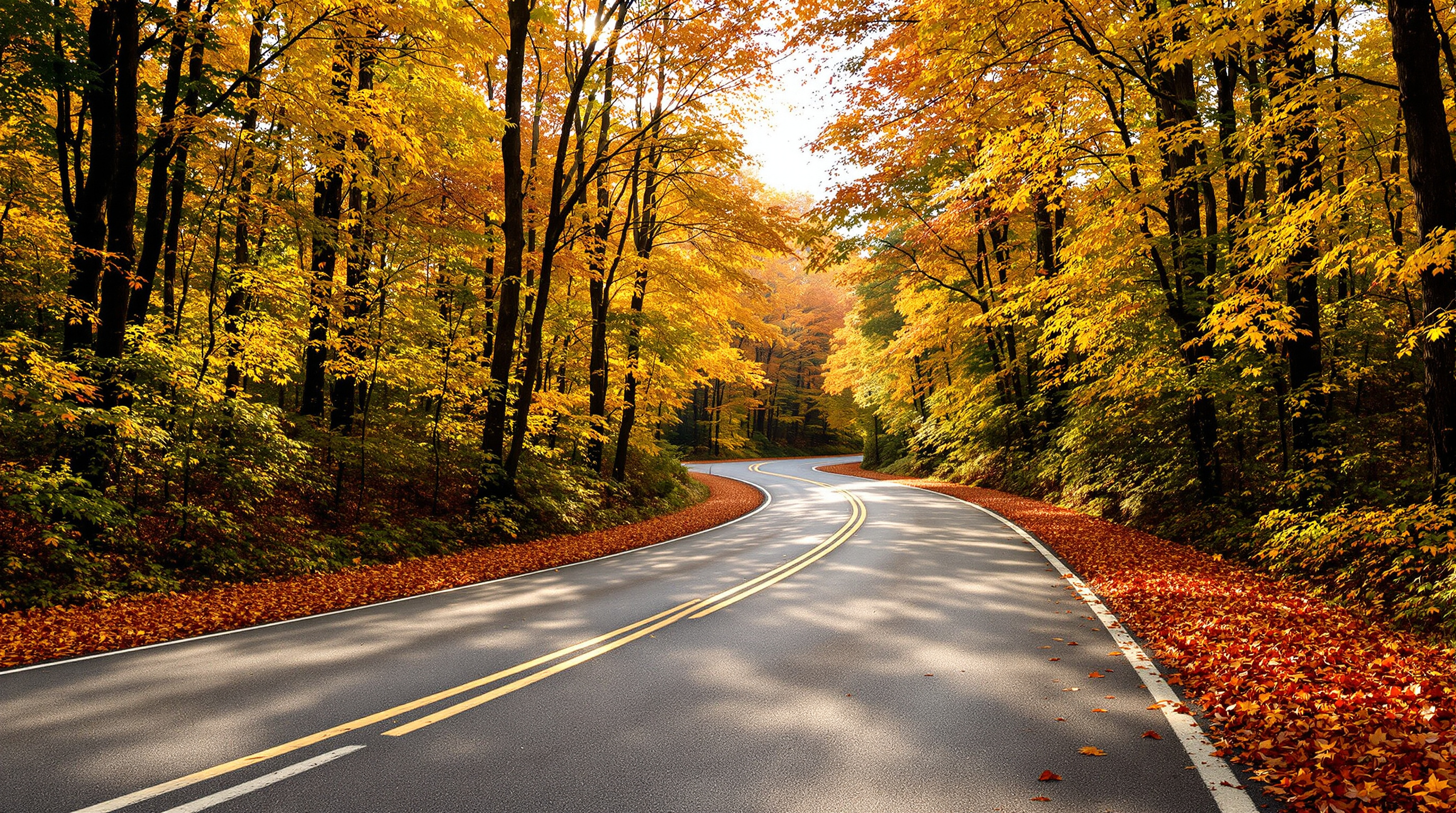 An empty road winding through a sunlit autumn forest of golden leaves