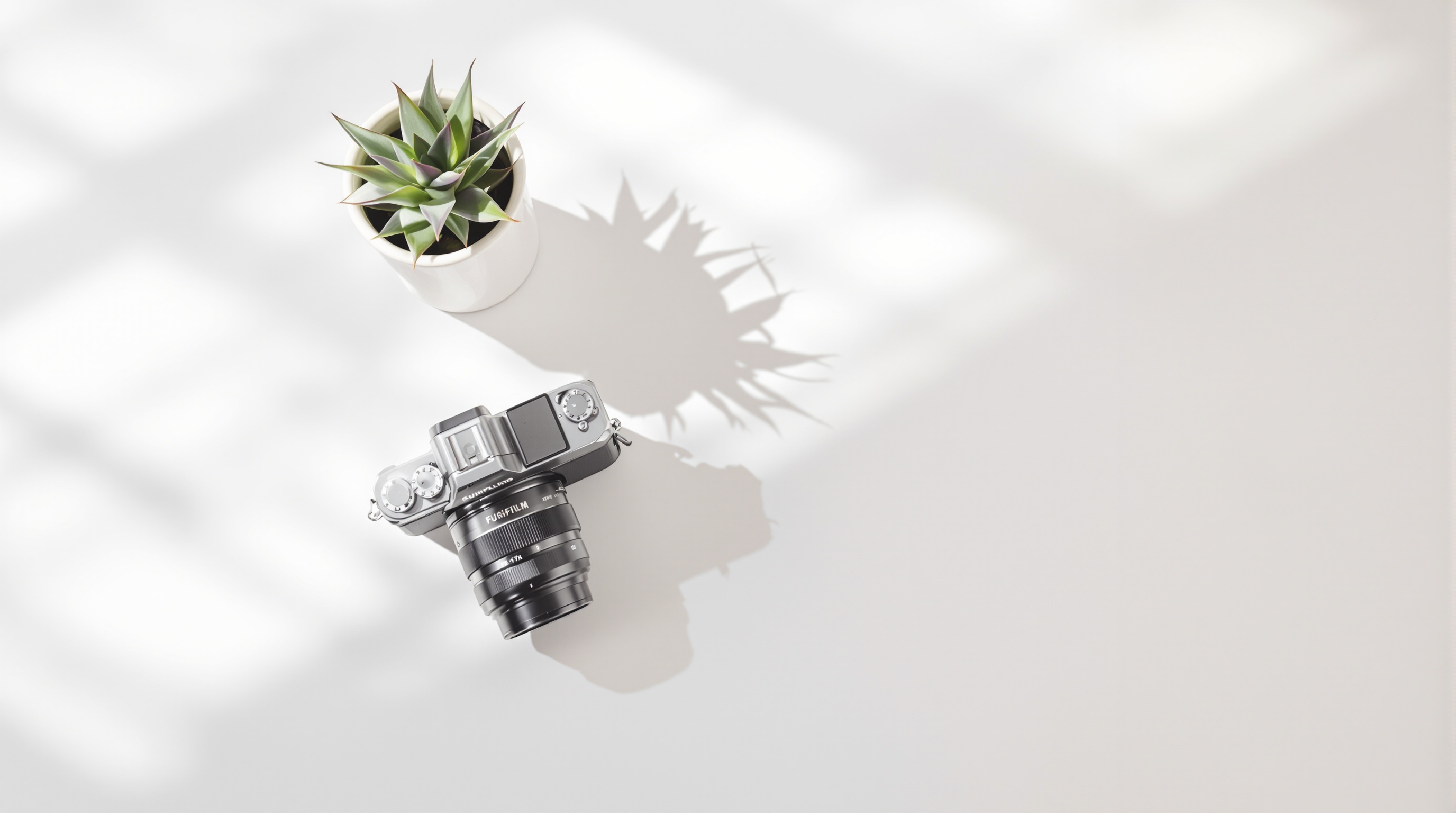 Clean white desk with a single camera and small succulent plant in bright morning light with soft shadows